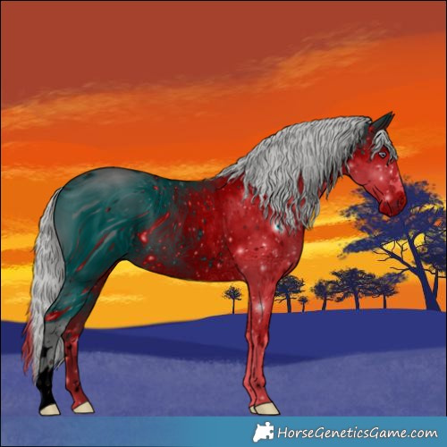 Horse Color:ERROR: UNKNOWN ANOMALY