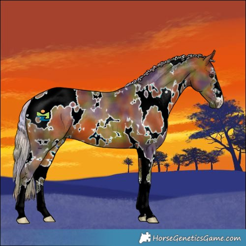 Horse Color:Nacre White Spotted Silver Bay 