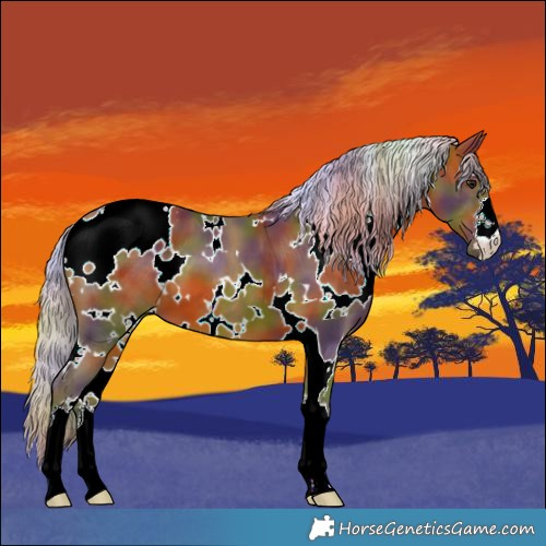 Horse Color:Nacre White Spotted Silver Bay 