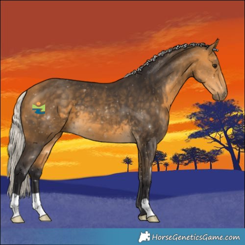Horse Color:Silver Buckskin 