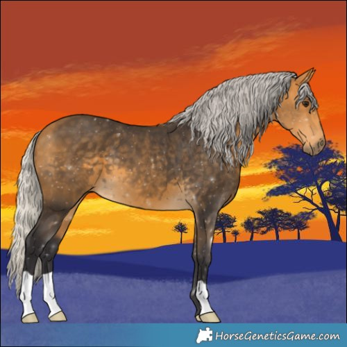 Horse Color:Silver Buckskin 