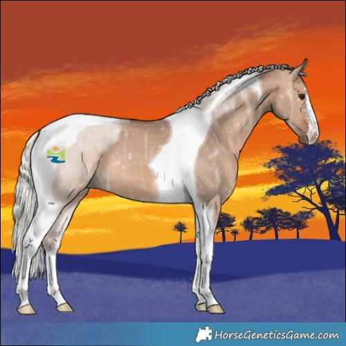 Horse Color:Silver Brown Ice Dun Tobiano 