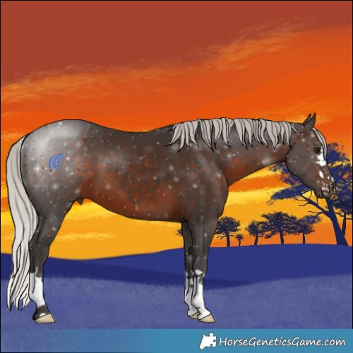 Horse Color:Silver Brown 