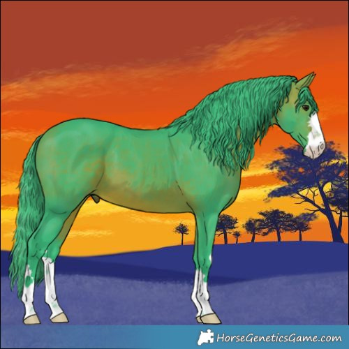 Horse Color:Watercolor Bay