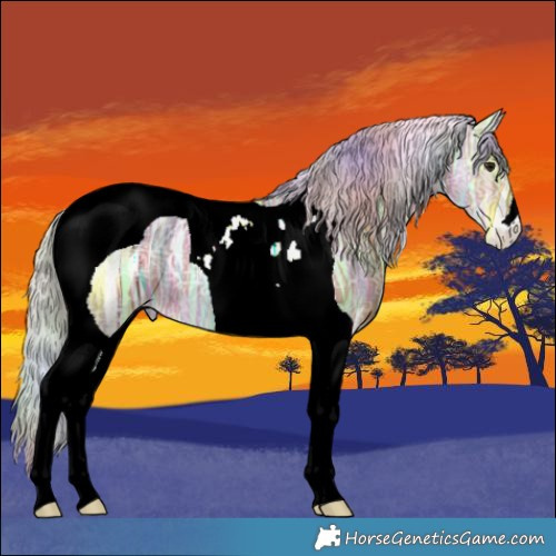 Horse Color:Nacre Silver Bay Ice Tobiano