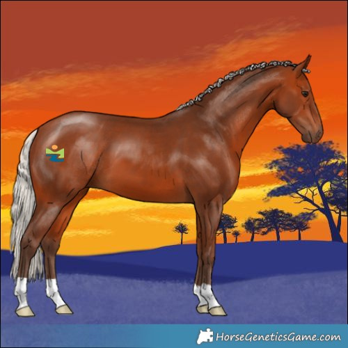 Horse Color:Silver Bay