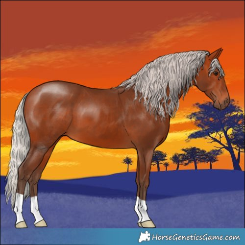 Horse Color:Silver Bay 