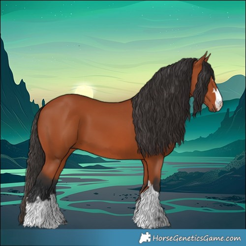 Horse Color:Bay 