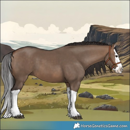 Horse Color:Brown Dun Splash 