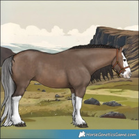 Horse Color:Brown Dun Splash 