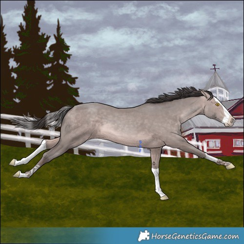 Horse Color:Platinum Sable Champagne Splash