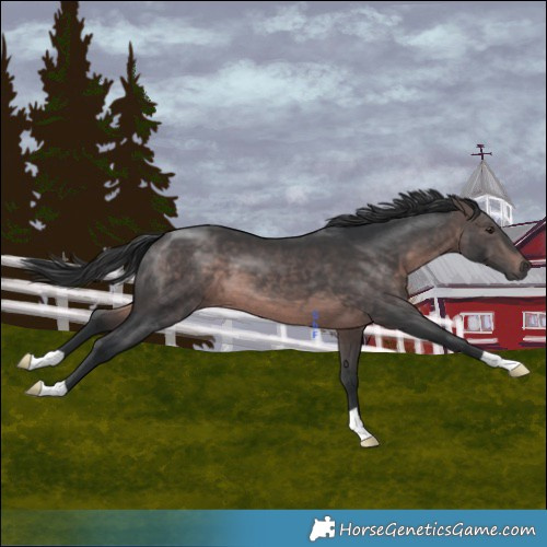 Horse Color:Platinum Brown