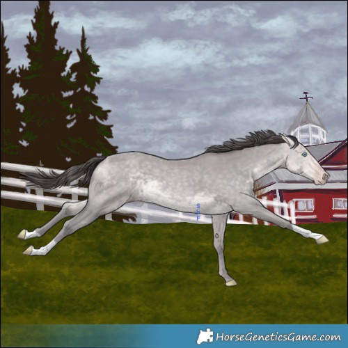 Horse Color:Platinum Sable Cream Champagne 