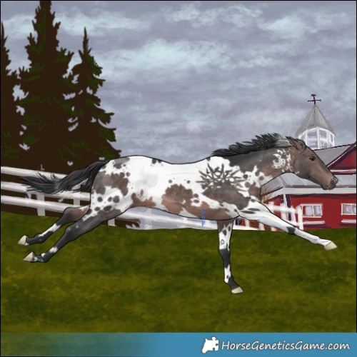 Horse Color:Platinum White Spotted Brown