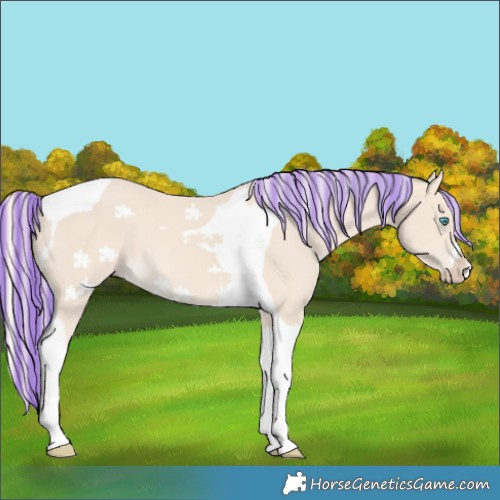 Horse Color:Painted Cremello Tobiano 