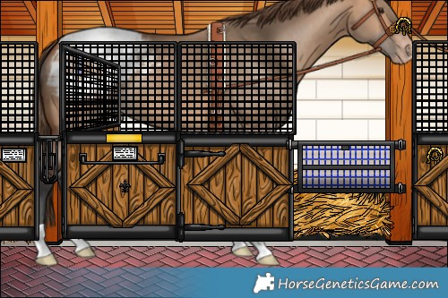 Horse Color:Bay Dun Snowcap 