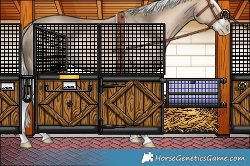 Horse Color:Cremello Splash Varnish 
