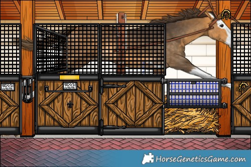 Horse Color:Buckskin Splash Varnish