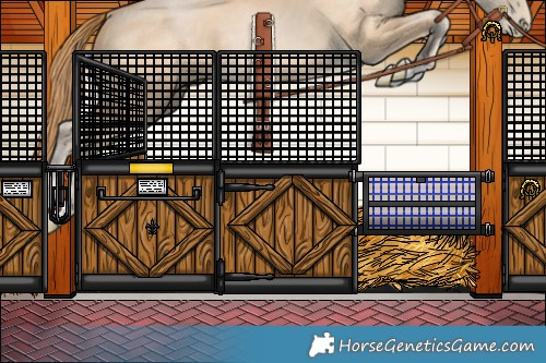 Horse Color:Smoky Black Pearl