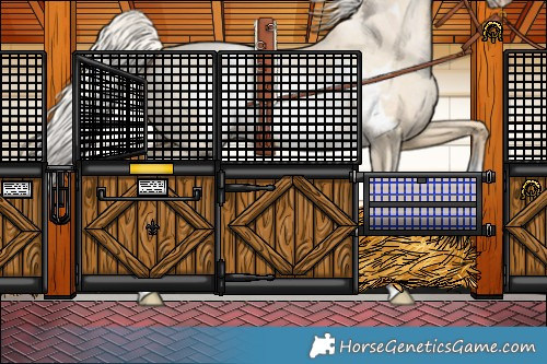 Horse Color:Silver Buckskin Roan Pearl Dun Frame Varnish 
