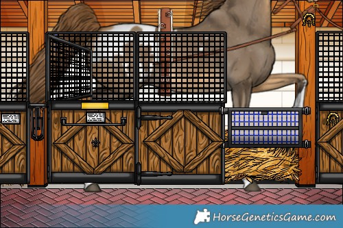 Horse Color:Buckskin Dun Blanket 