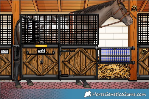 Horse Color:Brown Dun Blanket 