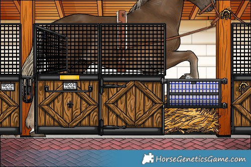 Horse Color:Chocolate Palomino 