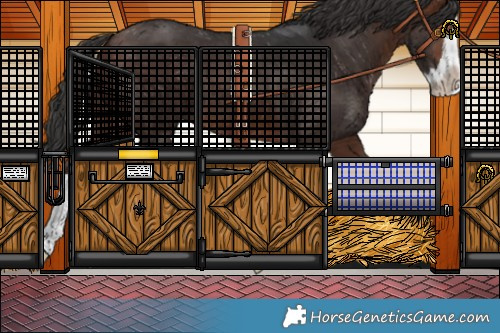 Horse Color:Brown Splash 