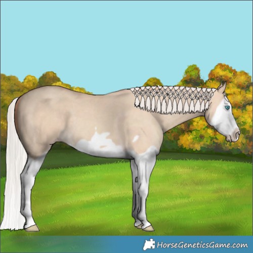 Horse Color:Silver Classic Champagne Dun Splash Frame