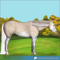 Horse Color:Silver Classic Champagne Dun Splash Frame 