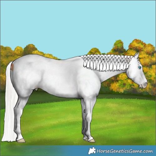 Horse Color:Silver Classic Champagne Dun Splash Tobiano 