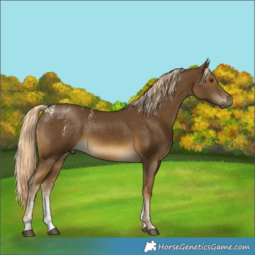 Horse Color:Powder White Chocolate Palomino Mushroom
