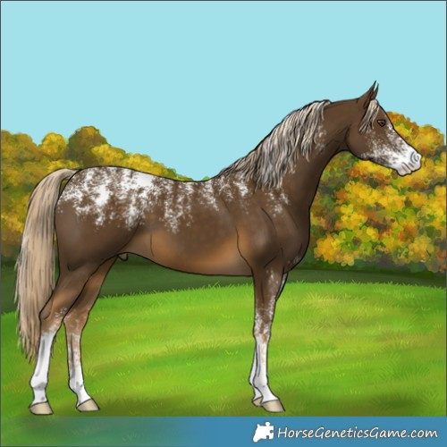Horse Color:Powder White Chocolate Palomino Mushroom