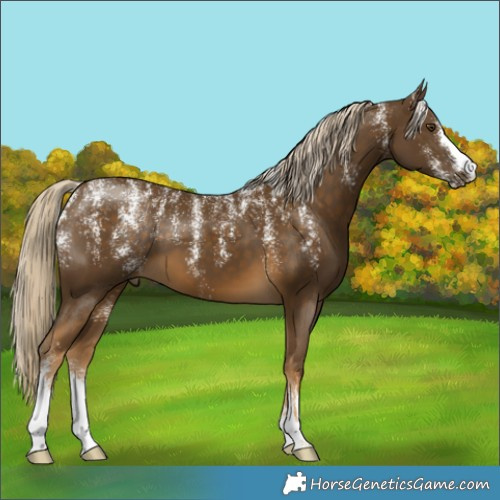 Horse Color:Powder White Chocolate Palomino Mushroom 