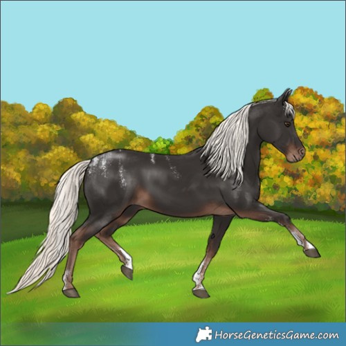 Horse Color:Powder White Liver Chestnut Mushroom