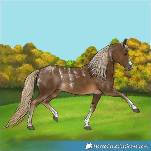 Horse Color:Powder White Chocolate Palomino Mushroom Rabicano 