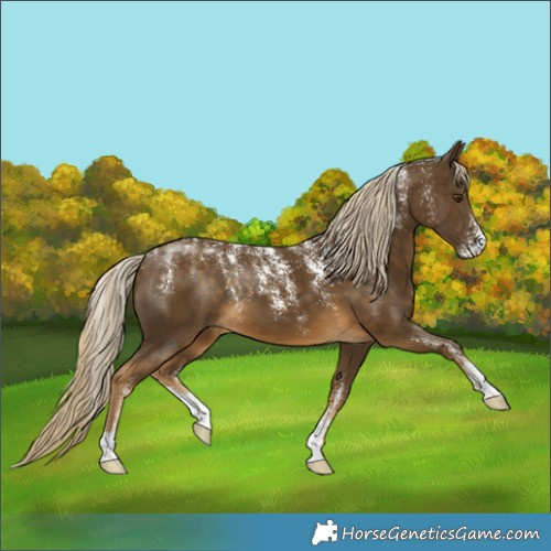 Horse Color:Powder White Chocolate Palomino Mushroom
