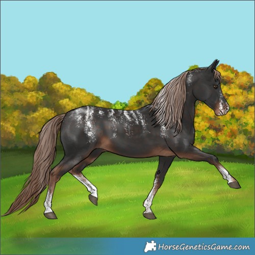 Horse Color:Powder White Liver Chestnut