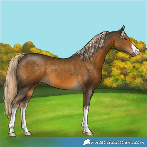 Horse Color:White Spotted Chocolate Palomino Mushroom