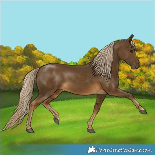 Horse Color:Chocolate Palomino Mushroom
