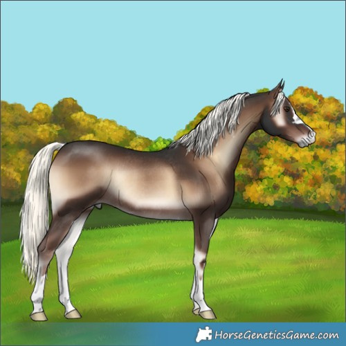 Horse Color:Liver Red Onyx Mushroom Rabicano