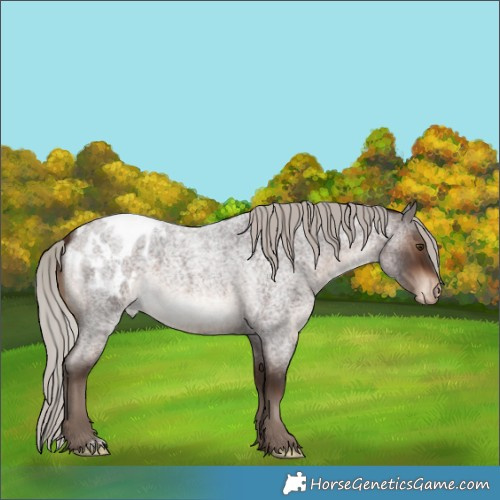 Horse Color:Silver Brown Roan Blanket