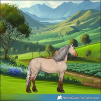 Horse Color:White Spotted Silver Bay Dun 
