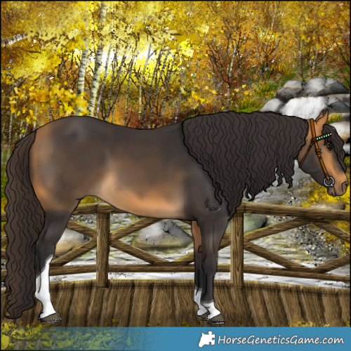 Horse Color:Buckskin Tobiano 