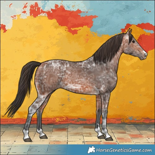 Horse Color:Bay Ice 
