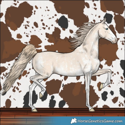 Horse Color:Perlino Sabino and Perlino Sabino
