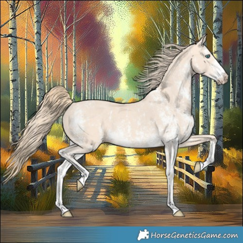 Horse Color:Perlino Sabino and Perlino Sabino
