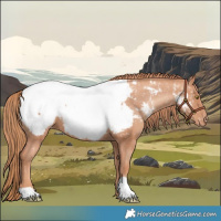 Horse Color:Gold Champagne Near Fewspot