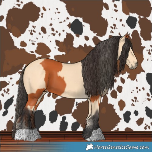 Horse Color:Bay  and Buckskin 
