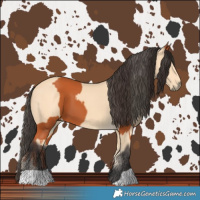 Horse Color:Bay and Buckskin